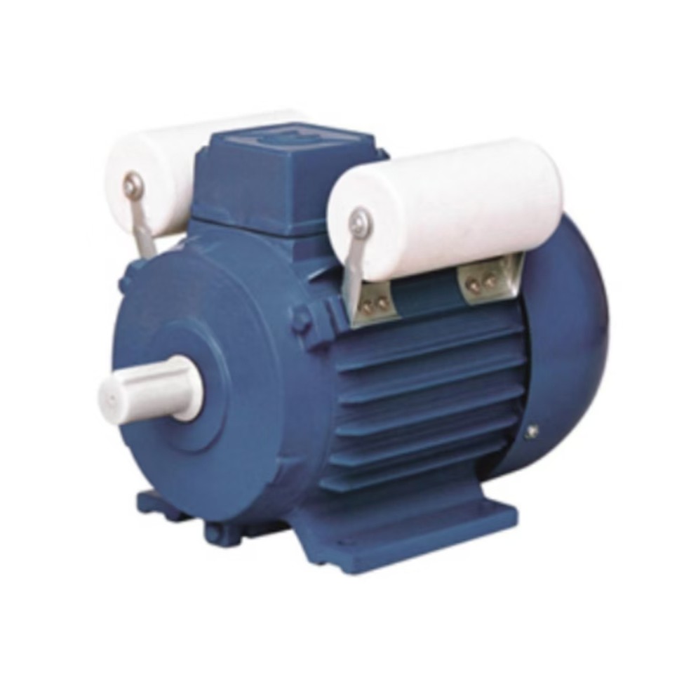 YL SINGLE-PHASE DUAL-VALUE CAPACITOR MOTORS