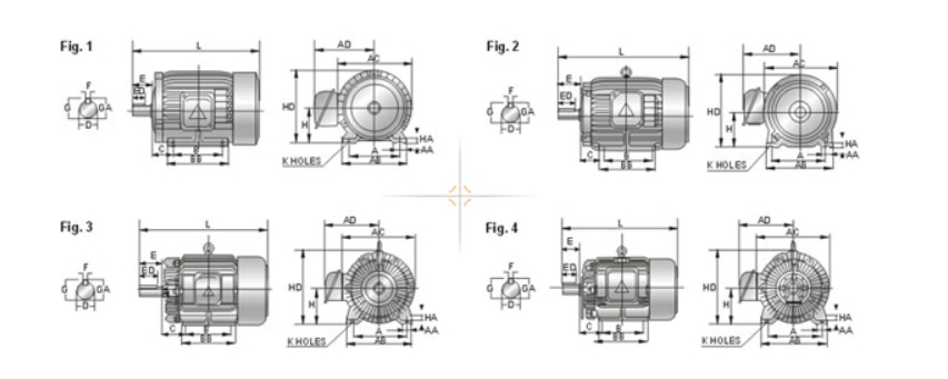 AEEF Three-phase Motor