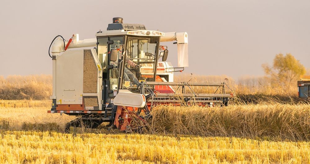 Agriculture