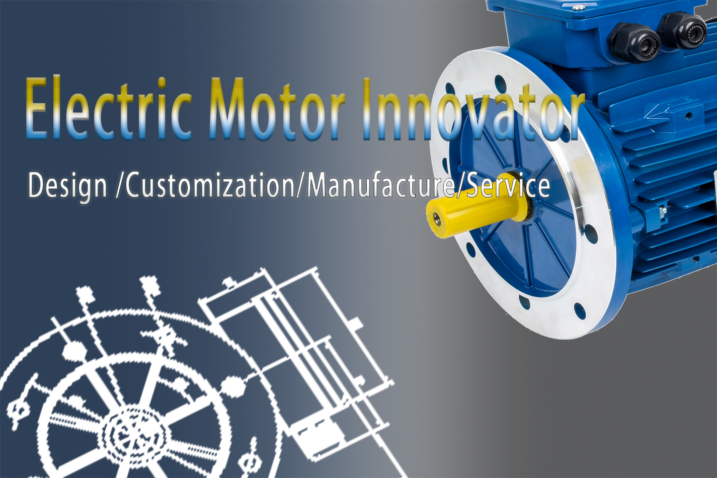 Custom Electric MotorSolutions