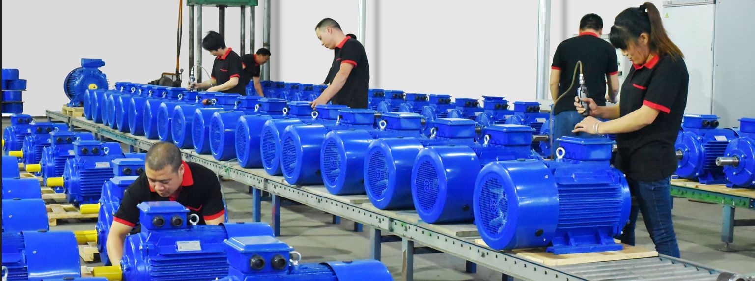 Started in China's Electric Motor Capital, Serving the Global Industrial Landscape