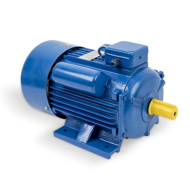 Why Are Chinese Electric Motors Gaining Popularity in Europe and America?